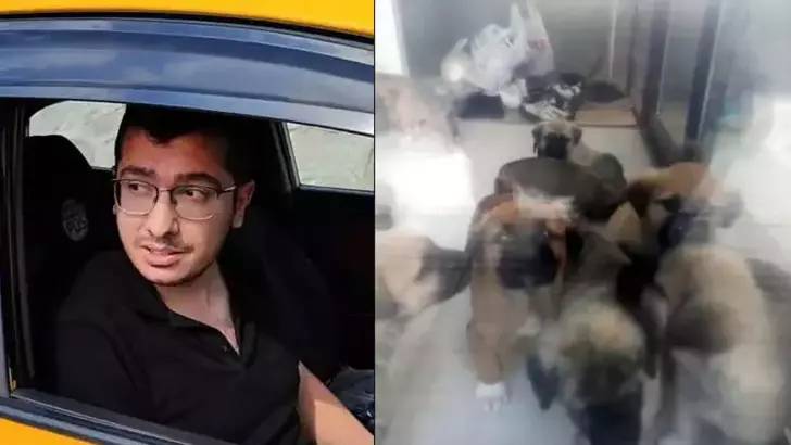 Köpeklere cinsel saldırıda bulunup öldüren doktorun davası: "Kanuna aykırı eksiklikler" nedeniyle yeniden görülecek 