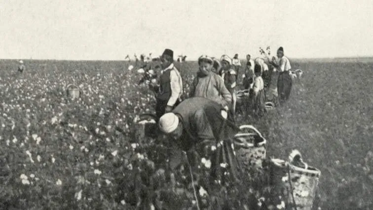 Yaşar Kemal usta der ki!