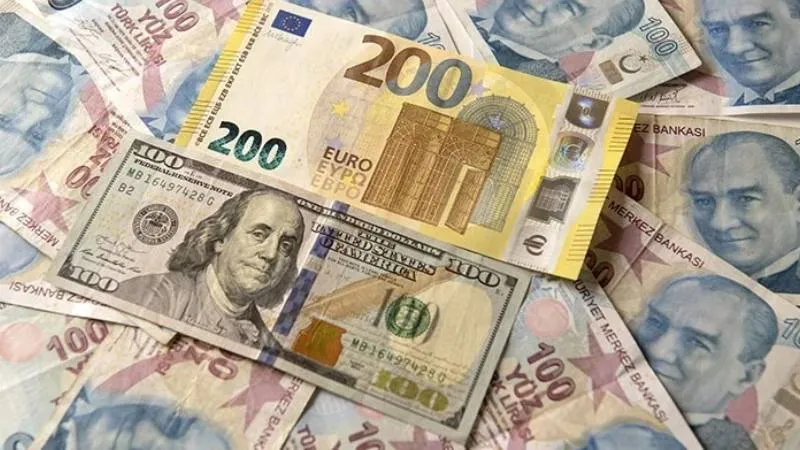 TL'nin reel değeri aralık ayında geriledi