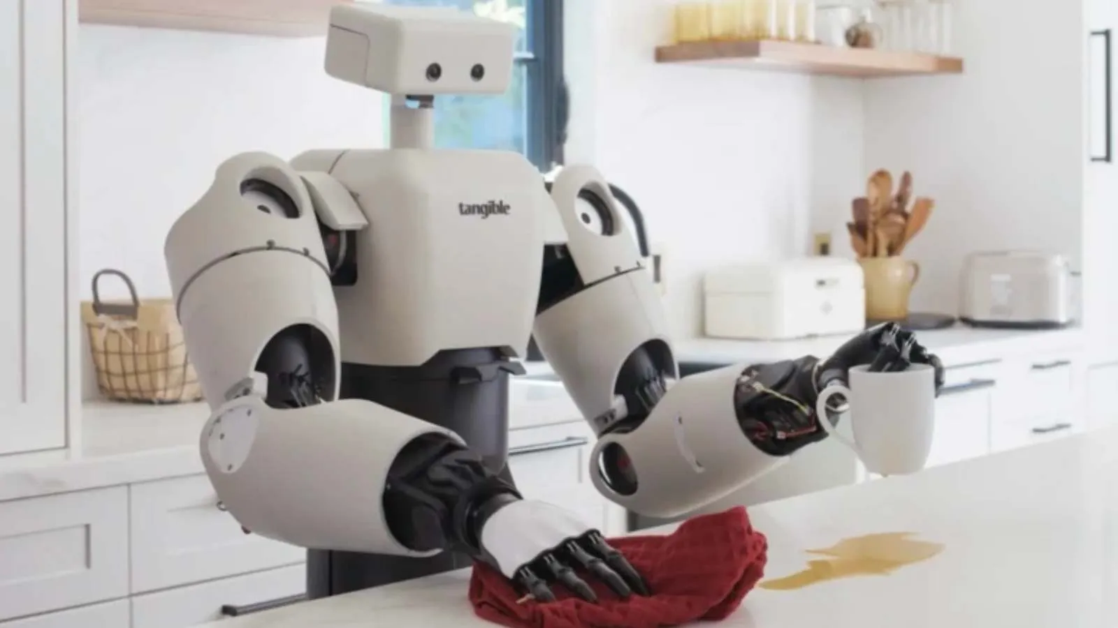 Bu robotlardan birinin evinizi temizlemesine izin verir miydiniz?