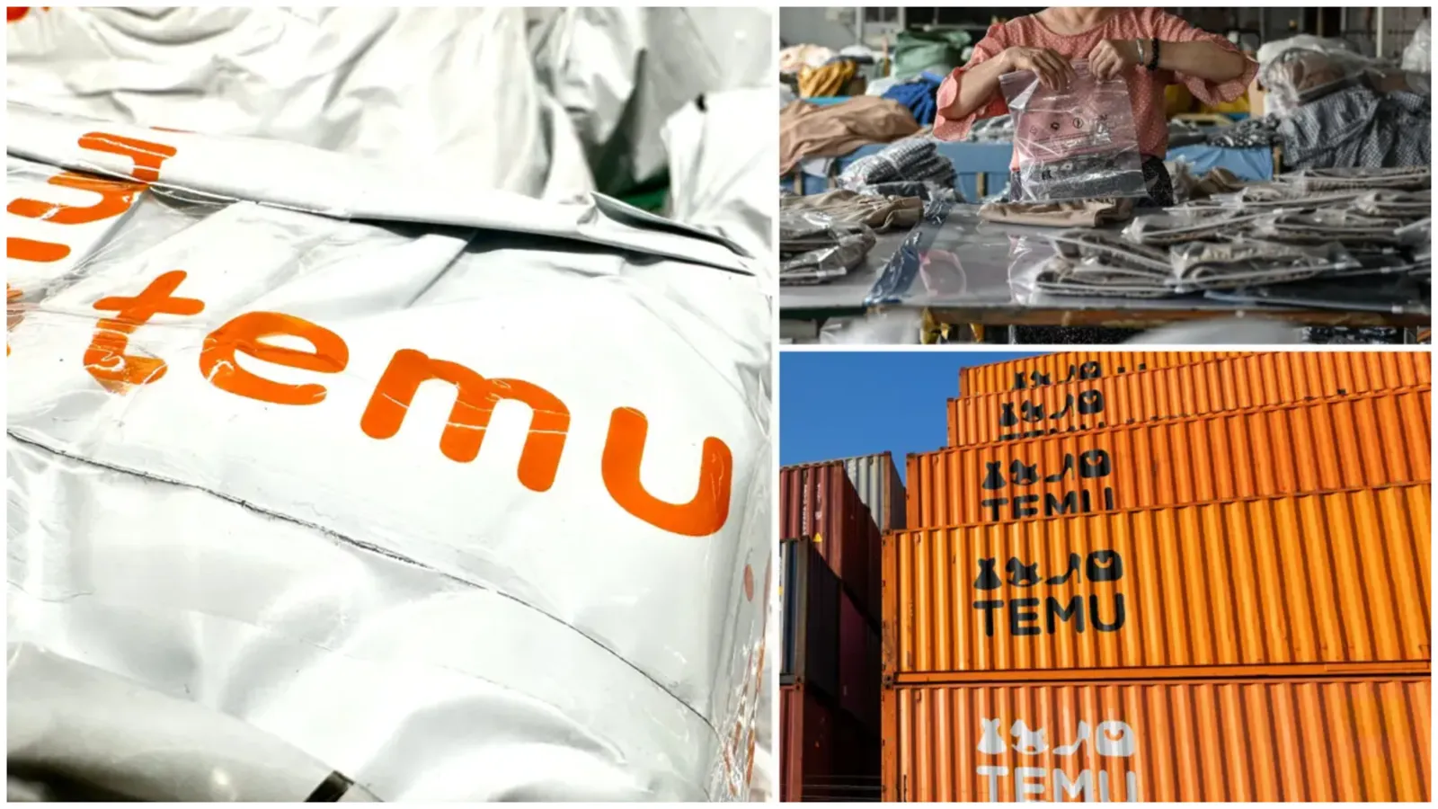 TEMU global
