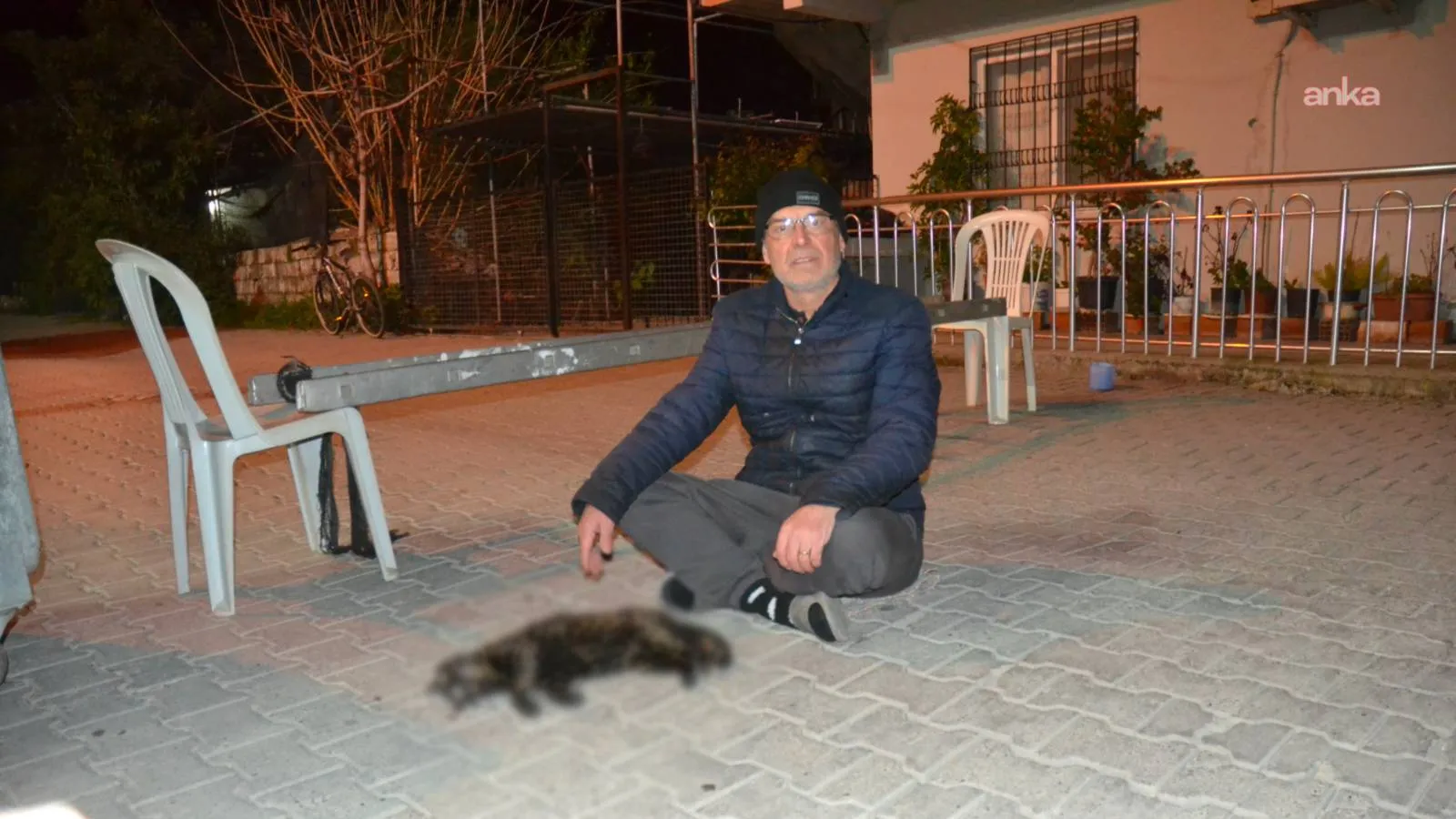 Muğla'da 'kasis' eylemi: Baktığı kedi ezilen yurttaş, yolu iki saat trafiğe kapattı