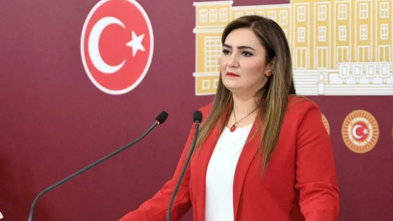 CHP'li Kılıç: İthalata dayalı bu düzen değişmeden ne et ucuzlar ne de üretici ayağa kalkar!
