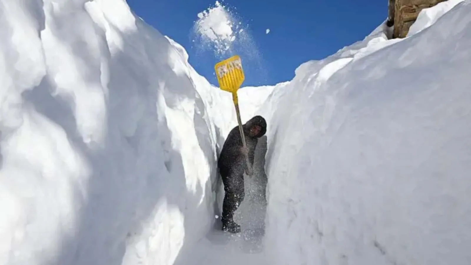 Isınan dünyada neden bu kadar çok kar yağıyor?