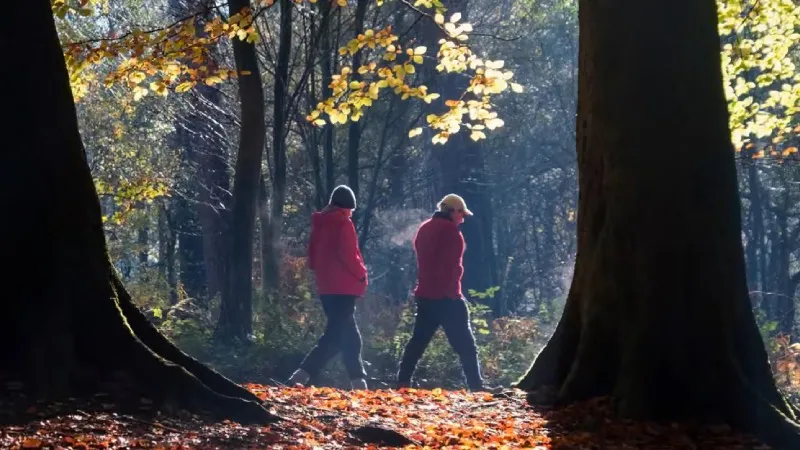 Araştırma: Günde ekstra beş dakika egzersiz ve oturulan sürenin yarım saat azalması milyonlarca insanın ömrünü uzatabilir