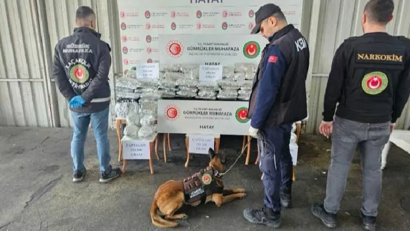 Hatay'da dev operasyon: Tahmini değeri 560 milyon lira