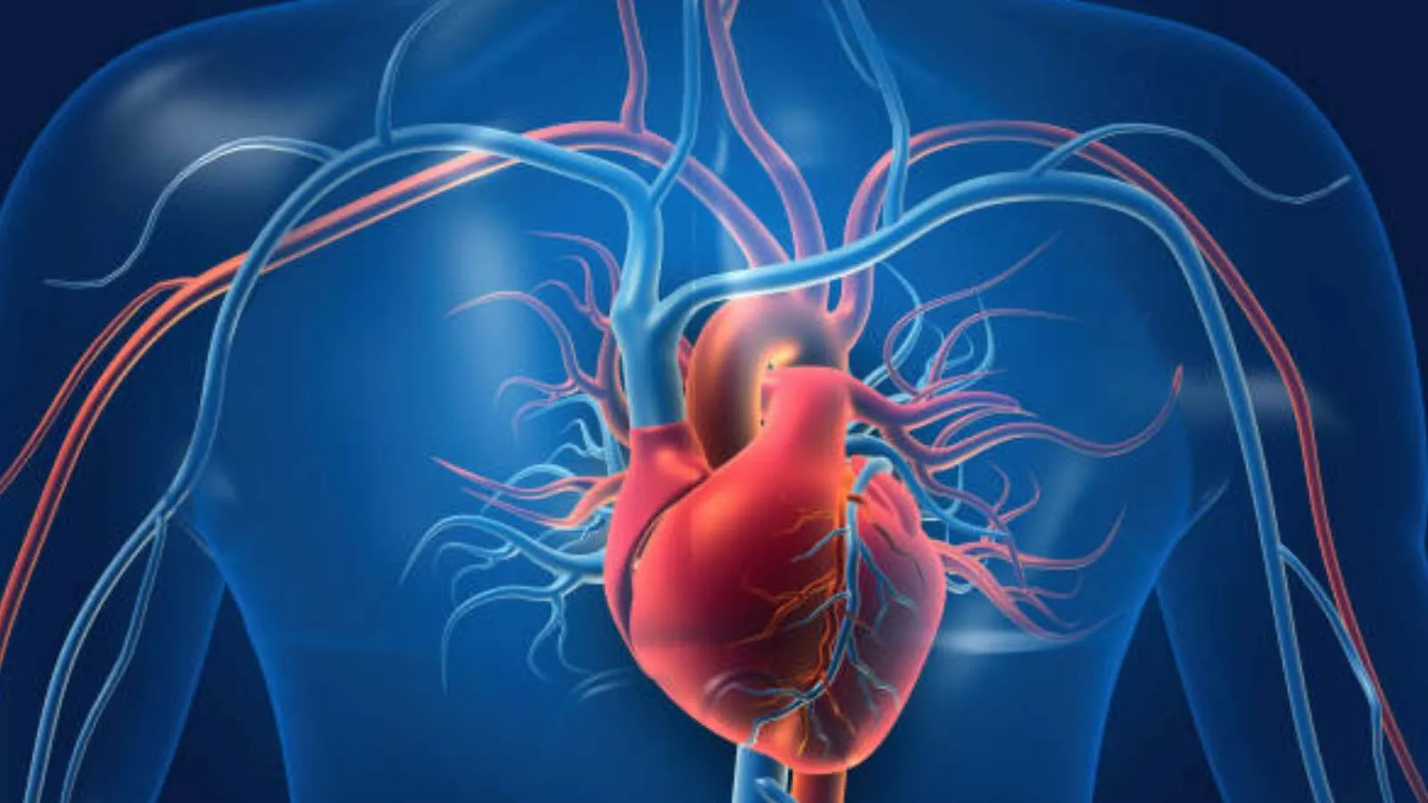 Avrupa İlaç Kurumu: Kardiyovasküler hastalıklar, Avrupa'da önde gelen ölüm nedeni