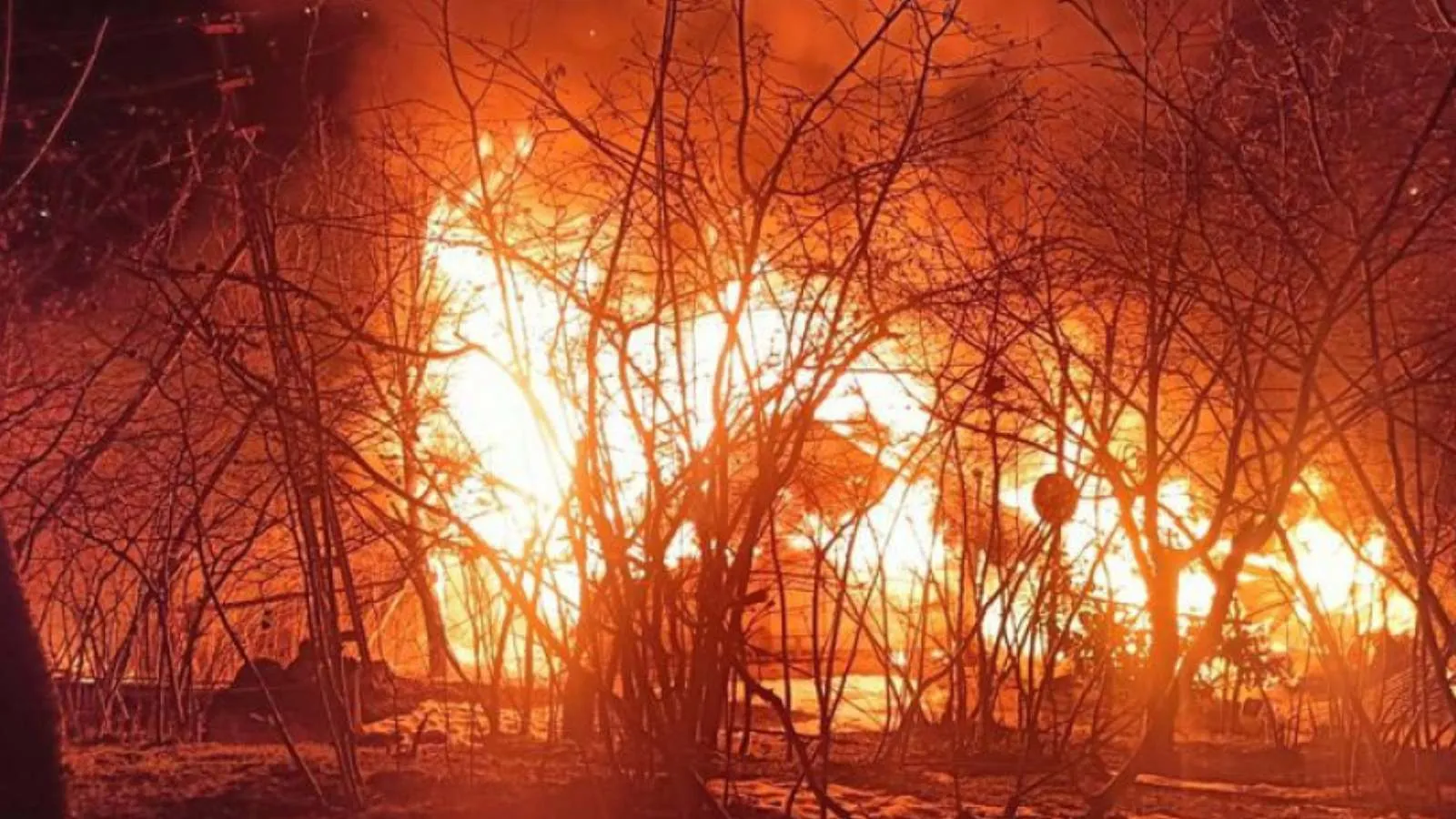 Yanan evinin 10 metre ilerisinde ağaçta asılı cesedi bulundu