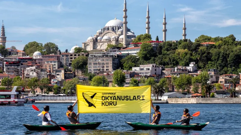 Greenpeace kampanyası sonuç verdi: Türkiye Küresel Okyanus Antlaşması’nı onayladı