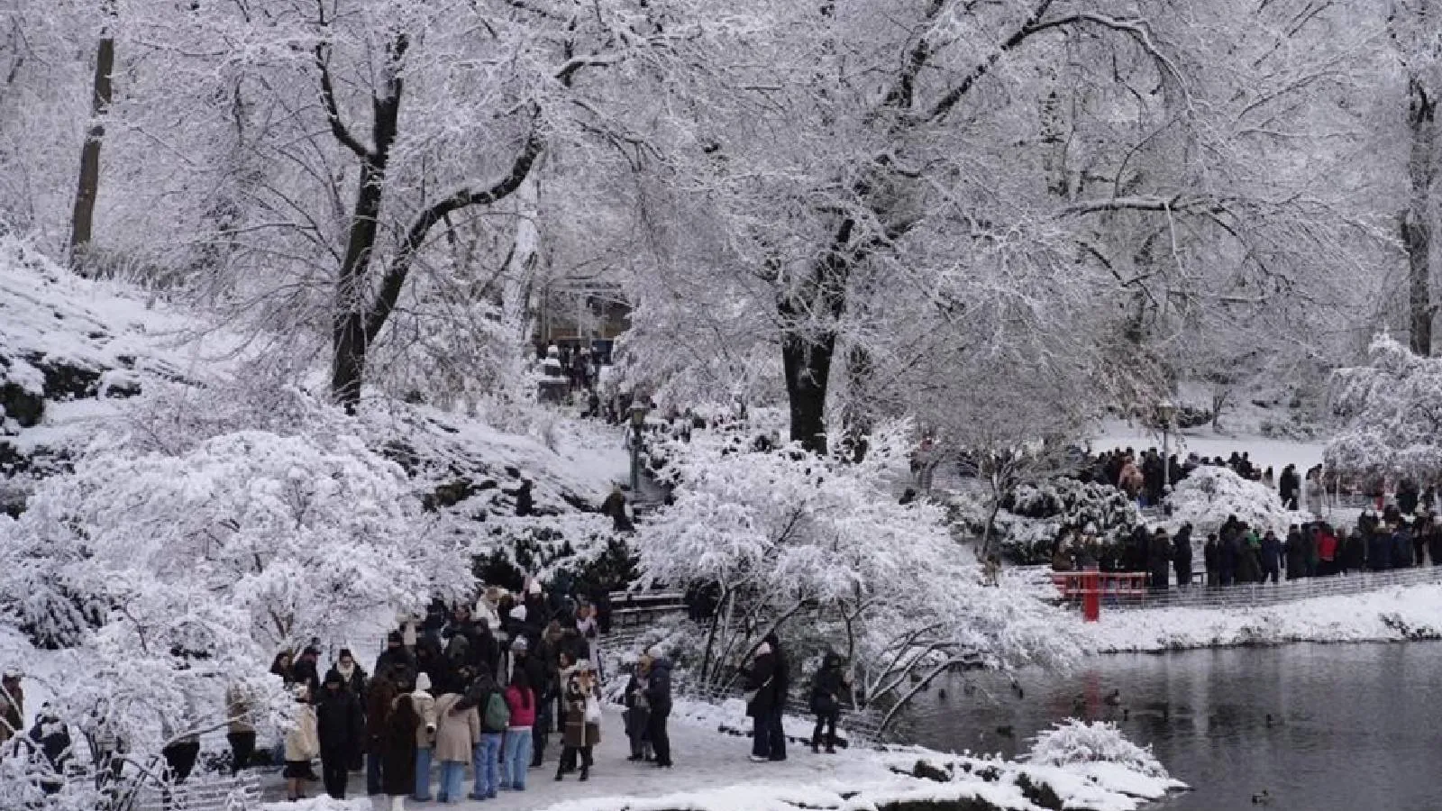 Mamdani duyurdu: New York’ta soğuk hava nedeniyle 18 kişi hayatını kaybetti
