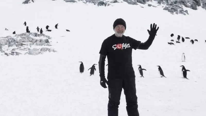 Gerçek nihilist penguenler