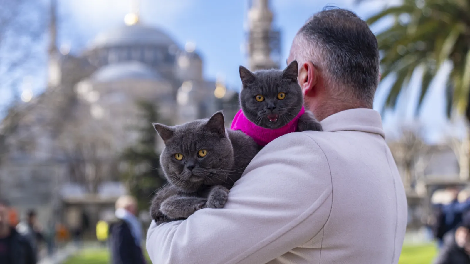 İstanbul'un seyyahı "Reis"in macerasına kardeşi de katıldı