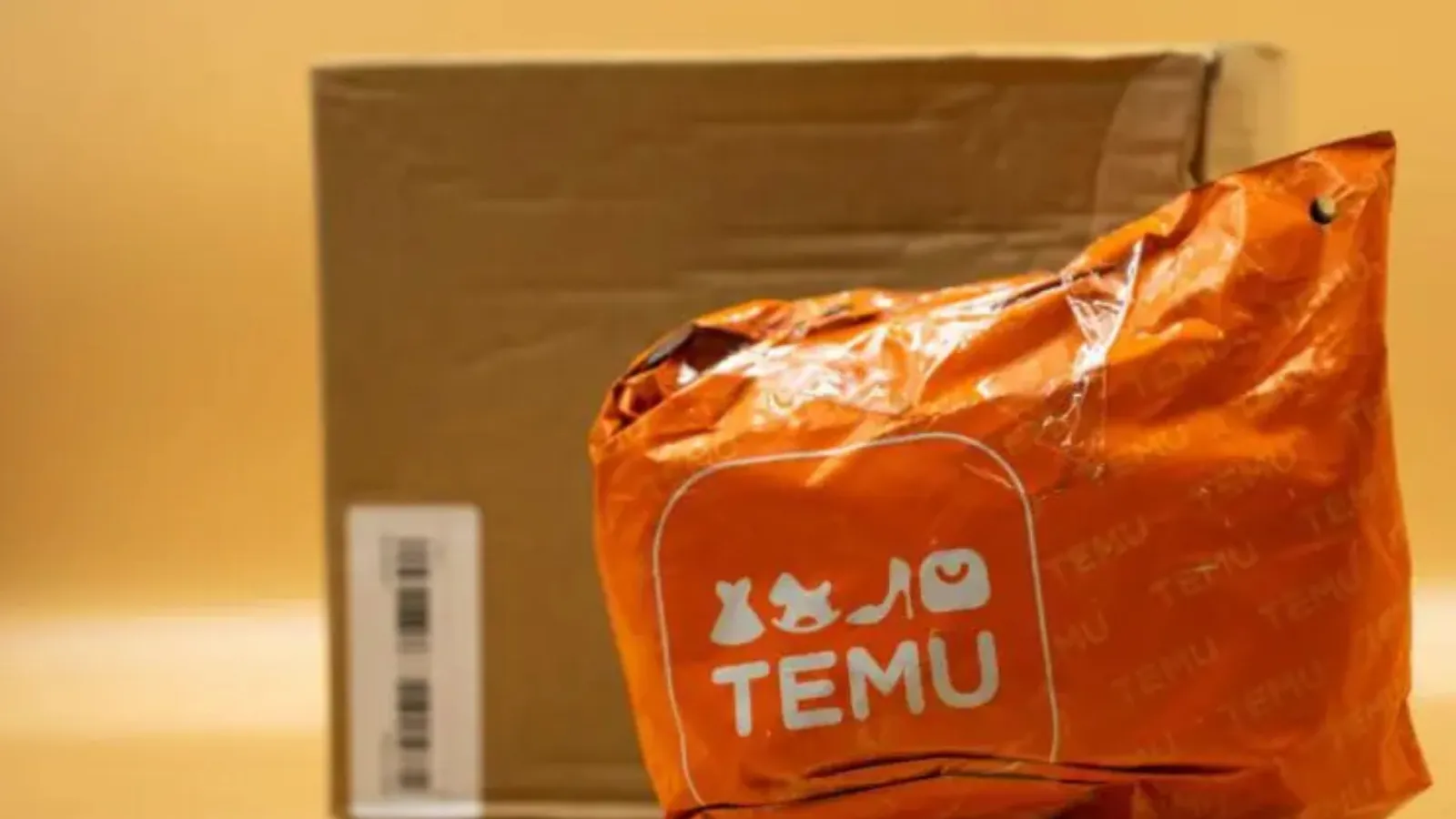 AB'den Temu'ya 200 milyon Euro ceza