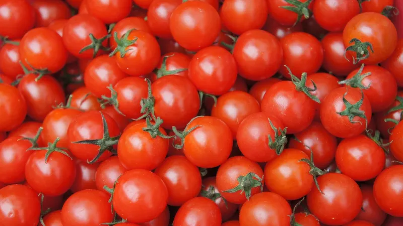 <p>TasteAtlas kullanıcılarının puanlarıyla belirlenen "D&uuml;nyanın En İyi 10 Domatesi" listesinde İtalya r&uuml;zgarı eserken, Anadolu topraklarının eşsiz lezzeti de d&uuml;nya devleri arasına girdi.</p>
<p>İşte d&uuml;nyanın en iyi 10 domates &ccedil;eşidi:</p>