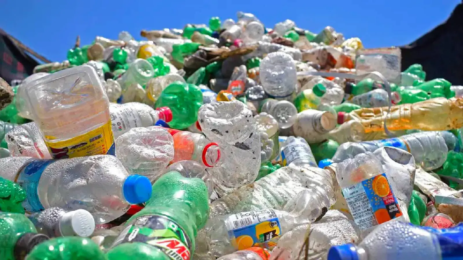 Araştırma: Plastiğin sağlığa zararı iki katına çıkabilir