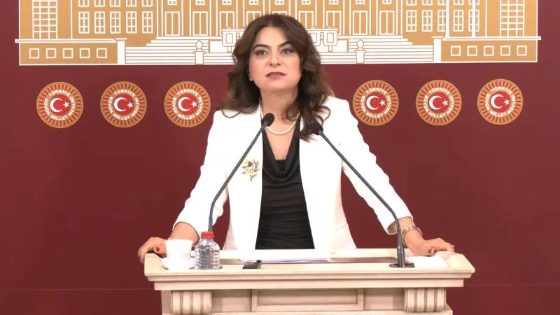 DEM Partili Koçyiğit: Taslak rapora ilişkin eleştirilerimiz ve kabul edemeyeceğimiz yaklaşımlar var