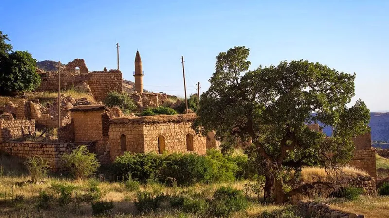 <p>T&Uuml;İK verilerine g&ouml;re T&uuml;rkiye&rsquo;de &uuml;&ccedil; k&ouml;y, sadece 1&rsquo;er kişilik n&uuml;fuslarıyla &uuml;lkenin en tenha yerleşim yerleri olarak kaydedildi.</p>
<p>Bitlis Merkez&rsquo;e bağlı Kayalıbağ K&ouml;y&uuml;, Siirt&rsquo;in Kurtalan il&ccedil;esindeki &Ccedil;attepe K&ouml;y&uuml; ve Iğdır&rsquo;ın Aralık il&ccedil;esinde bulunan Tarlabaşı K&ouml;y&uuml;&rsquo;nde resmi kayıtlara g&ouml;re sadece birer kişi yaşıyor.</p>