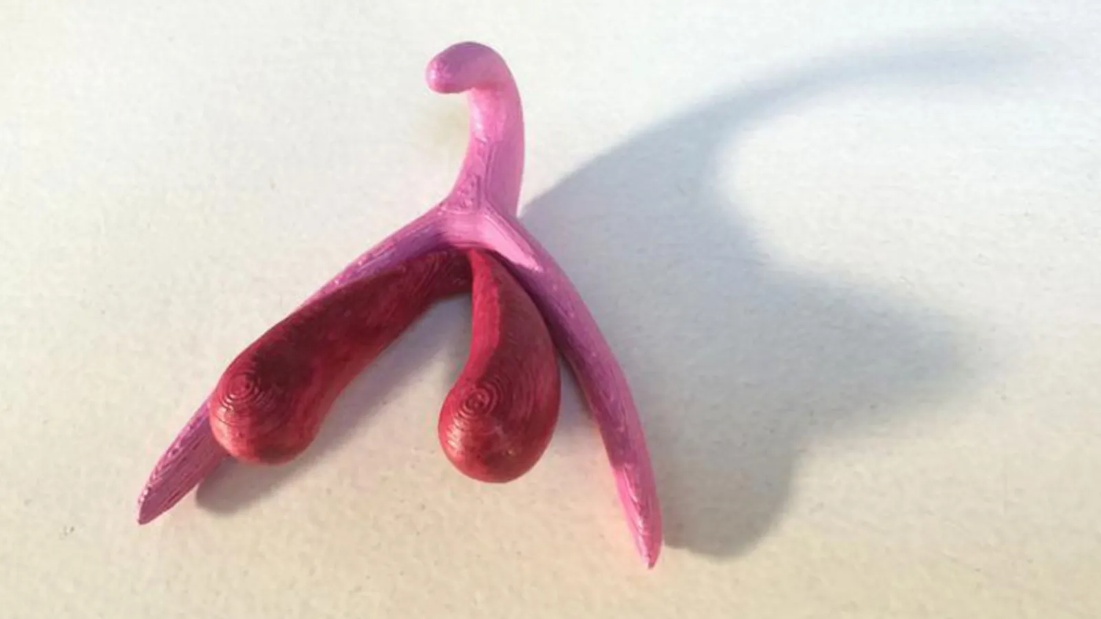 İnsan vücudunun en az incelenmiş organlarından biri: Klitorisin kapsamlı sinir haritası penisten 30 yıl sonra tamamlandı!