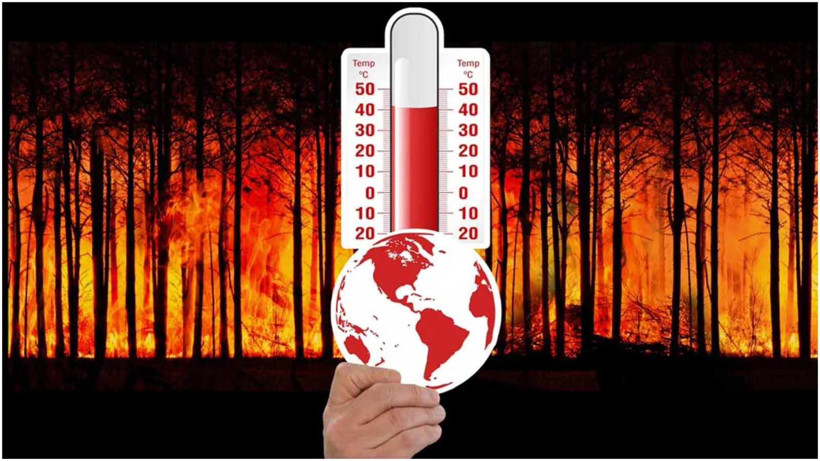 Bilim insanlarından 2050 alarmı: Aşırı sıcaklar yüz binlerce can alabilir!