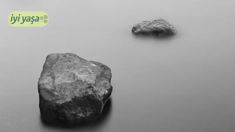 Zor insanlarla iletişimde yeni bir yaklaşım: “Gray rock” yöntemi nedir?