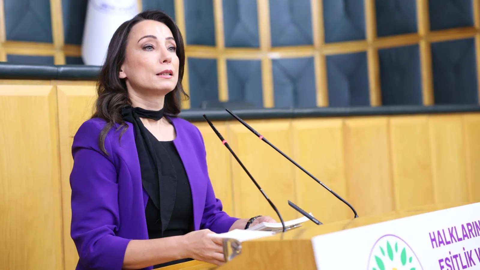 #CANLI | Tülay Hatimoğulları: 2026 yılı Nevroz’u devlete ve iktidara milyonların tek bir ağızdan beş net mesajını iletti