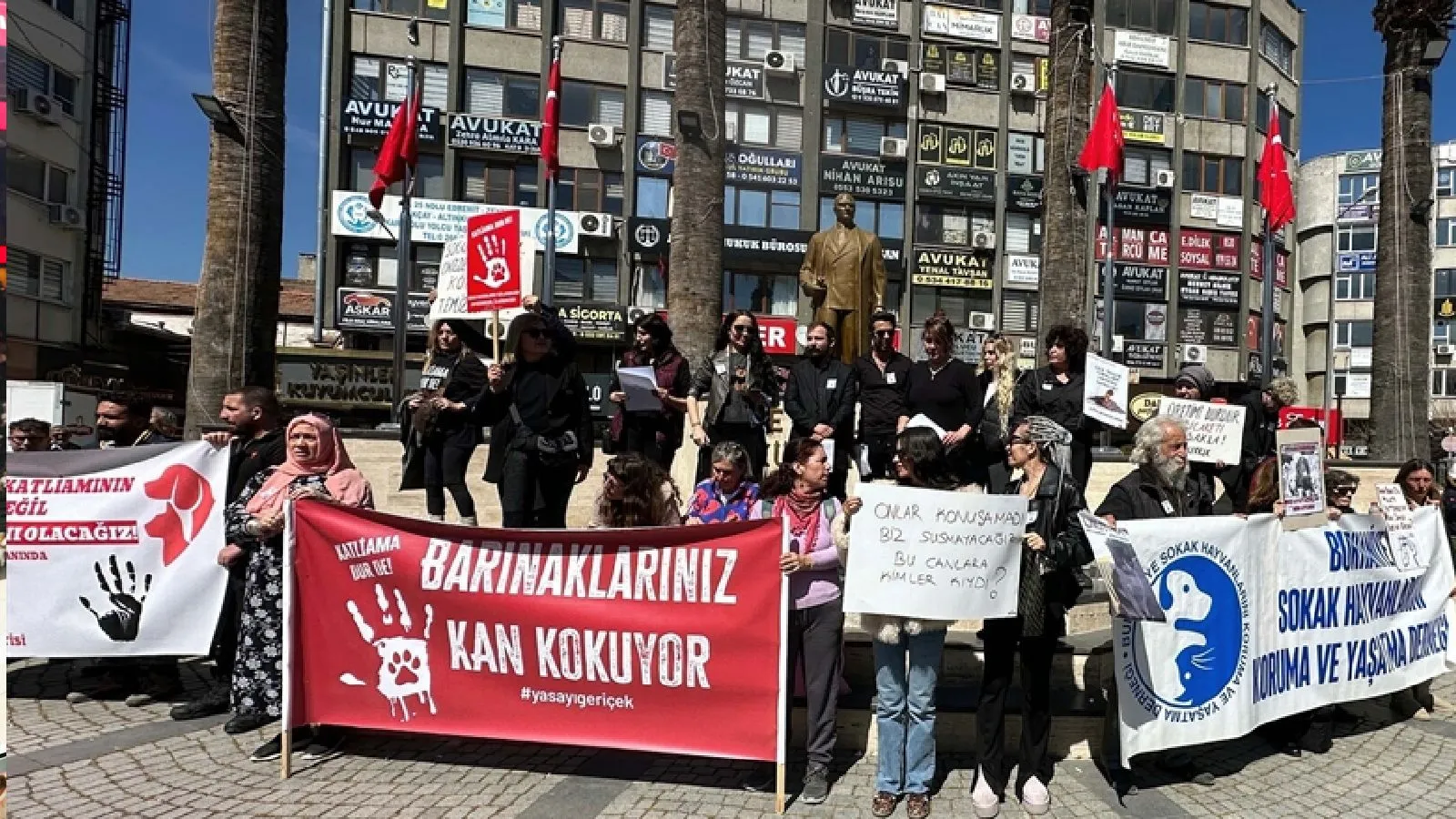 Küpeli 40 sokak köpeğinin cesedi çöplükte bulunmuştu: Vicdanı olan öldürmez!