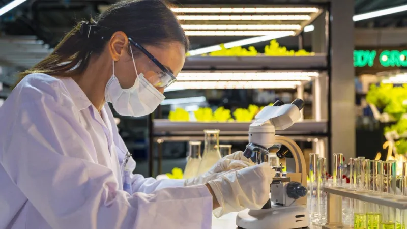 Tarımda yapay zekâ dönemi: Biyoteknoloji girişimi AgriDL, bitkilerin 'dijital ikizini' çıkardı