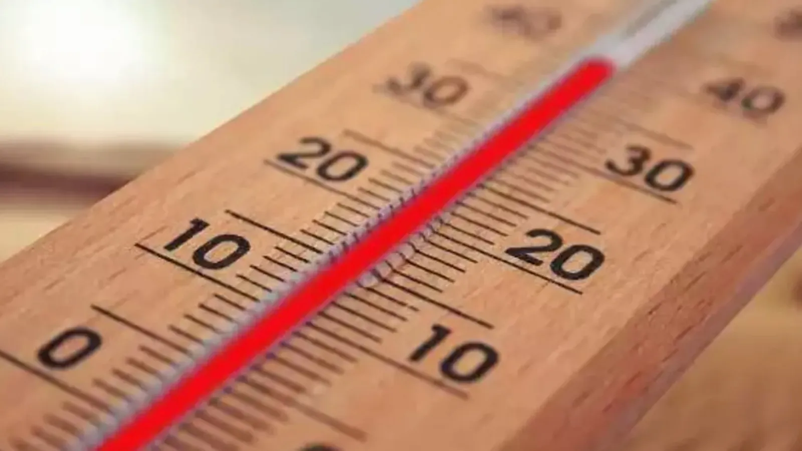 Son 56 yılın en sıcak 3'üncü şubat ayı yaşandı