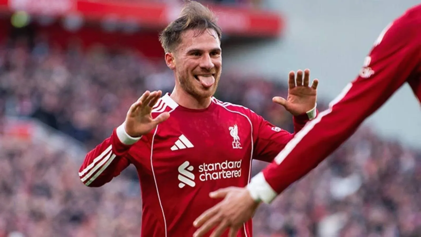 Liverpool'da Mac Allister gelişmesi: Ayrılık isteğini, yönetime iletti