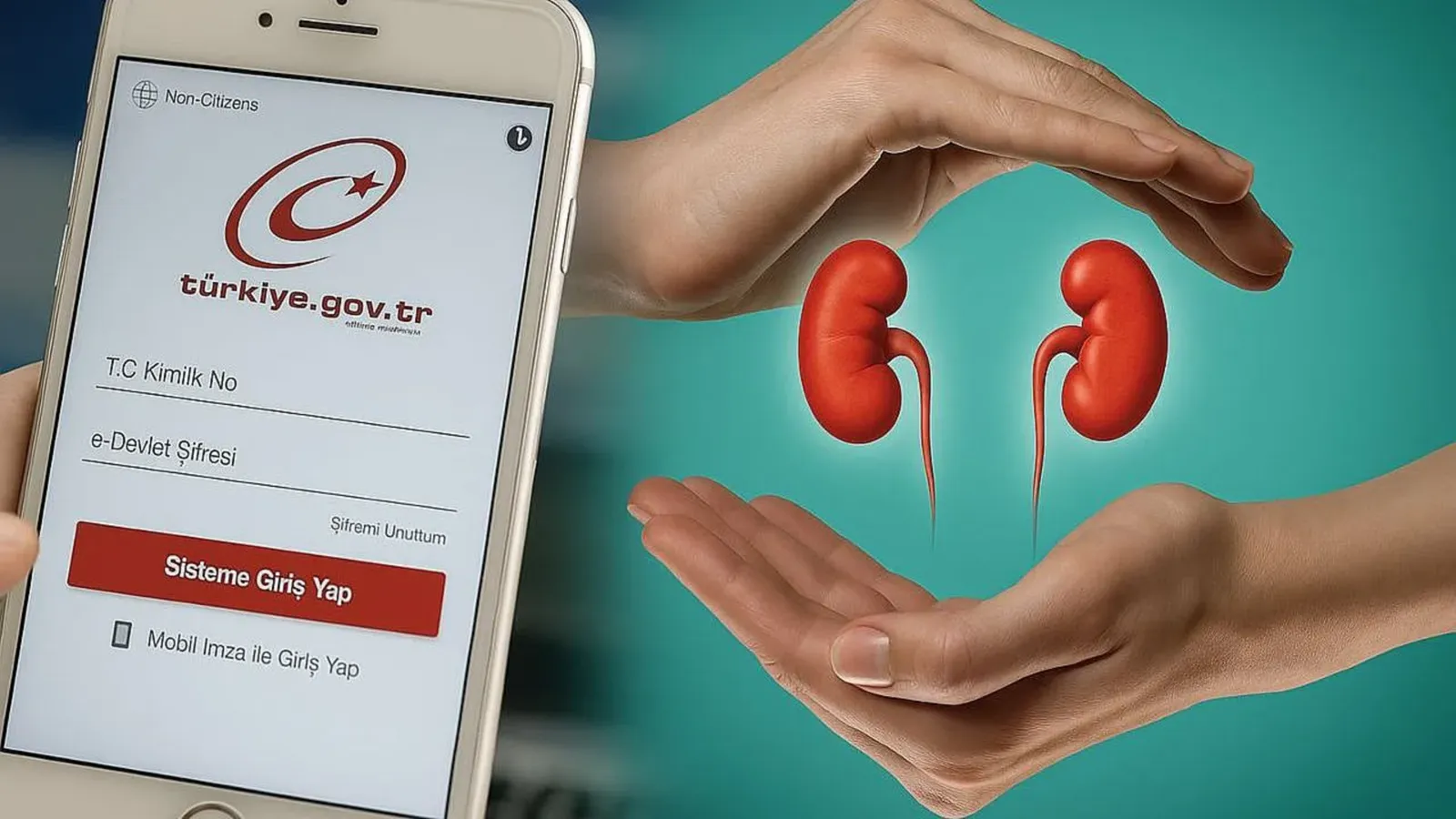 E-Devlet üzerinden 105 bin kişi dijital vasiyet oluşturdu, 376 binden fazla doku ve organ bağışı yapıldı