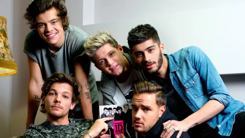 One Direction'ın eski üyeleri birbirine girdi, Netflix projesi iptal oldu!