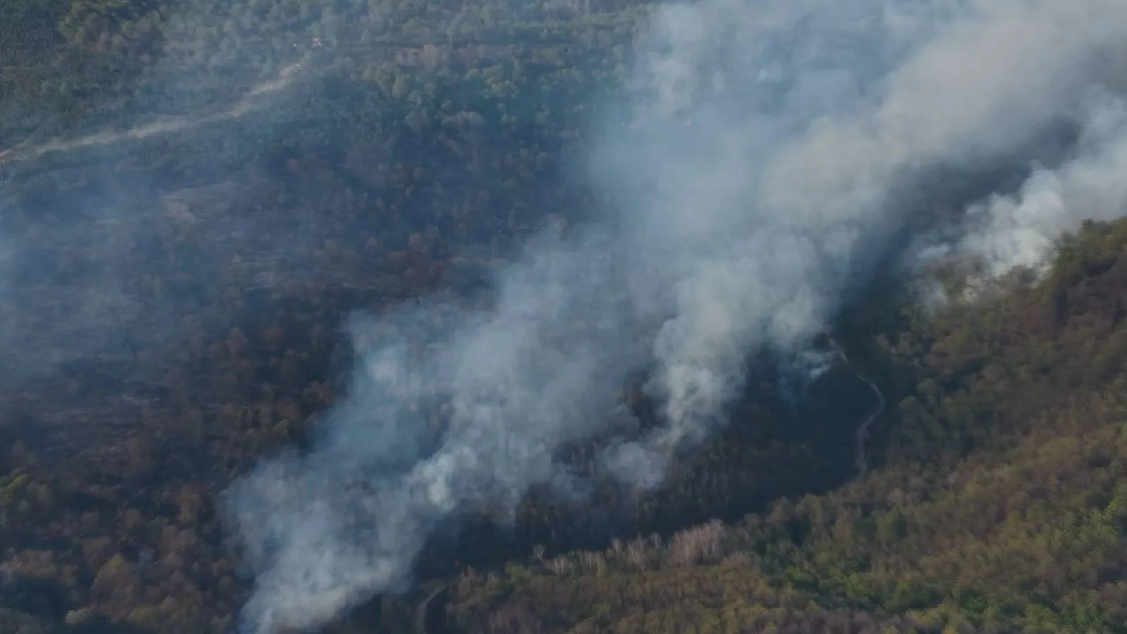 Beykoz'da orman yangını: Kontrol altına alınan alevler rüzgârın etkisiyle yeniden yükseldi