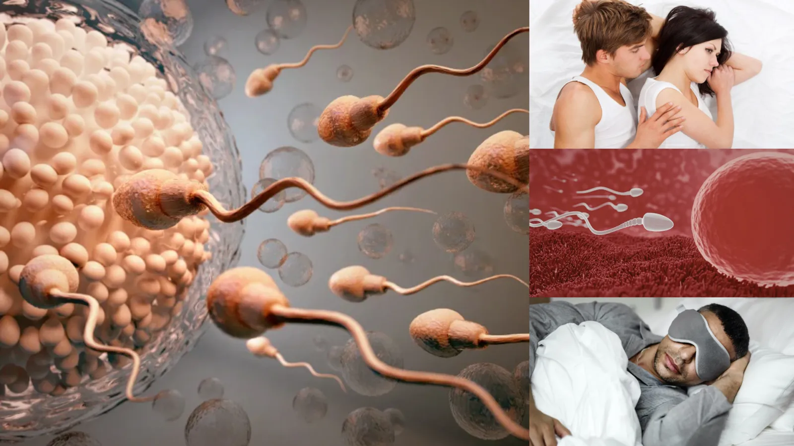 Uyku düzeni sperm kalitesini etkiler mi?