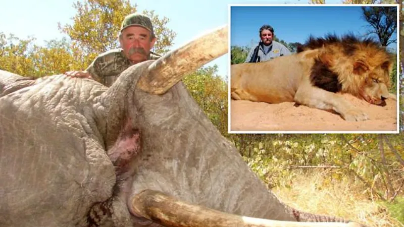 Avcılık için Güney Afrika'ya gitmiş: Milyoner iş insanı filler tarafından ezilerek öldü