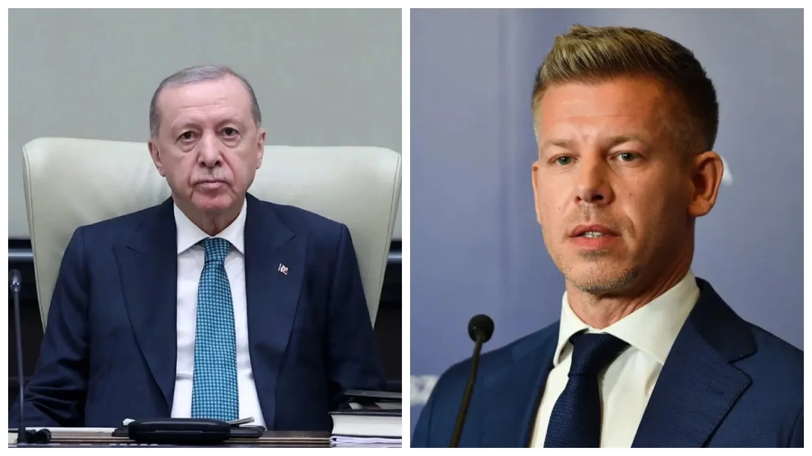 Cumhurbaşkanı Erdoğan, Macaristan'ın yeni Başbakanı Magyar ile görüştü