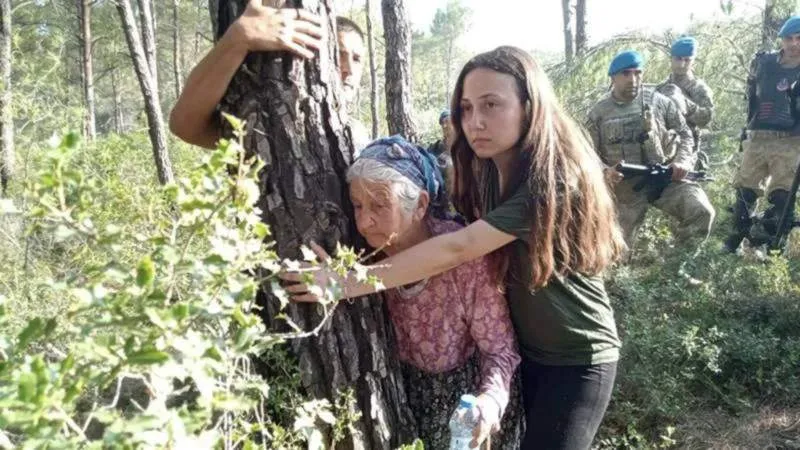Ağacı sökmek için onları sökmen lazım çünkü!