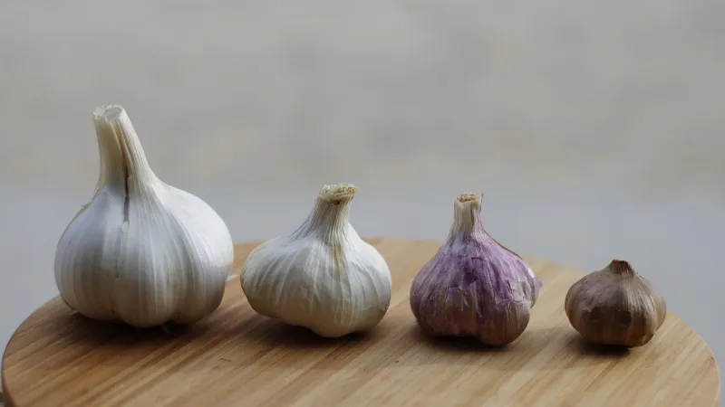 TasteAtlas dünyanın en kaliteli sarımsaklarını sıraladı: Türkiye'den iki şehir listeye damga vurdu!