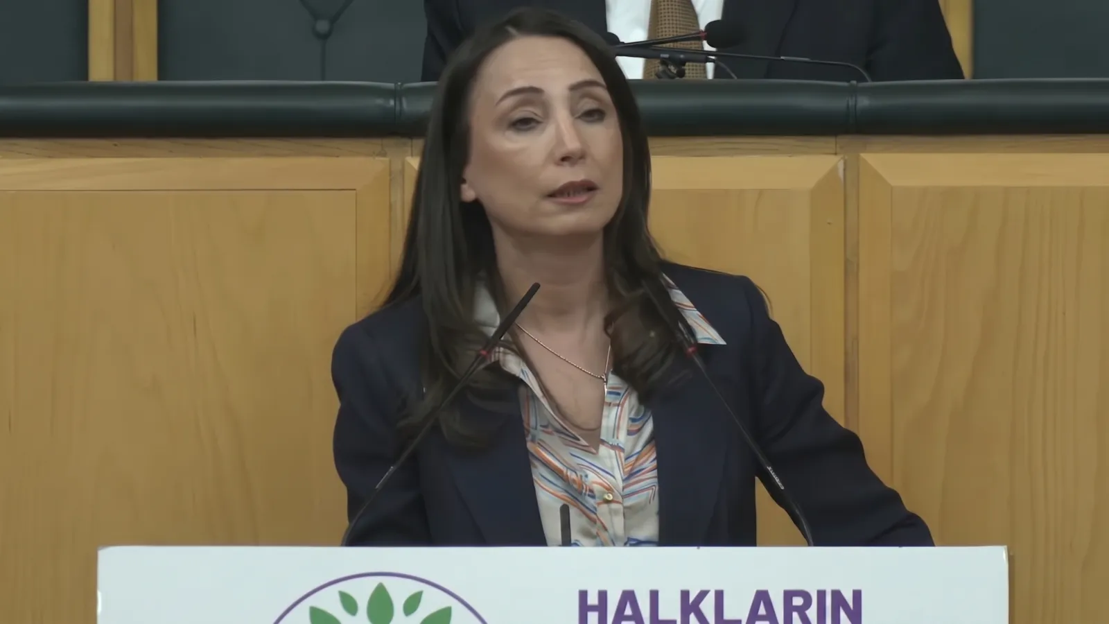 DEM Parti'den "komisyon raporu" çağrısı: Ne kadar eksik de olsa "rehber" olarak kabul edilmeli ve süreç devam etmelidir