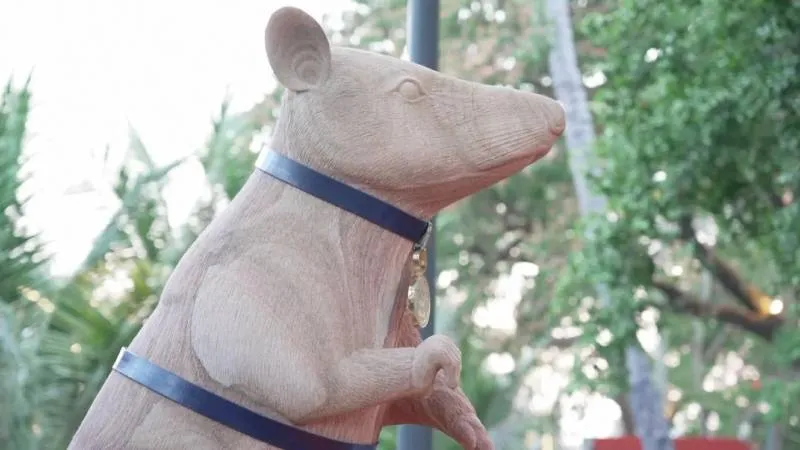 5 yıllık kariyerinde tarih yazdı, altın madalya aldı: Ünlü mayın temizleme faresinin heykeli dikildi!