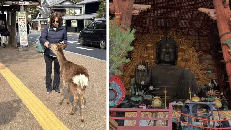 Ayşegül Japonya’da…