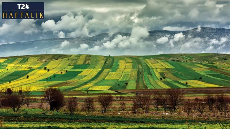 RT @T24Haftalik:  Altın toprağın altında değil, üstünde; para meyvenin kabuğunda!

✍️ Gürkan Akgüneş'in yazısı...