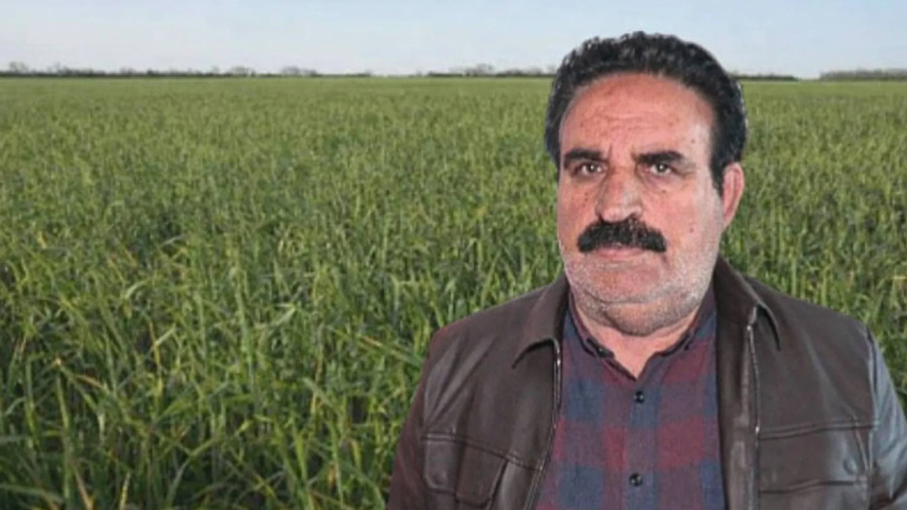 Köylüler arasındaki husumet tarlaya sıçradı: Zehir attılar!