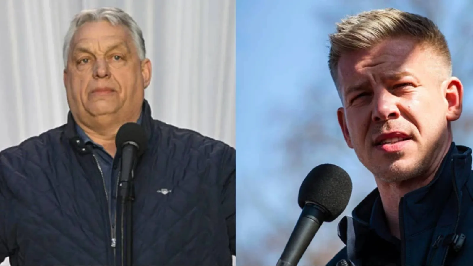 Macaristan'da karar anı: Viktor Orban mı, Peter Magyar mı?