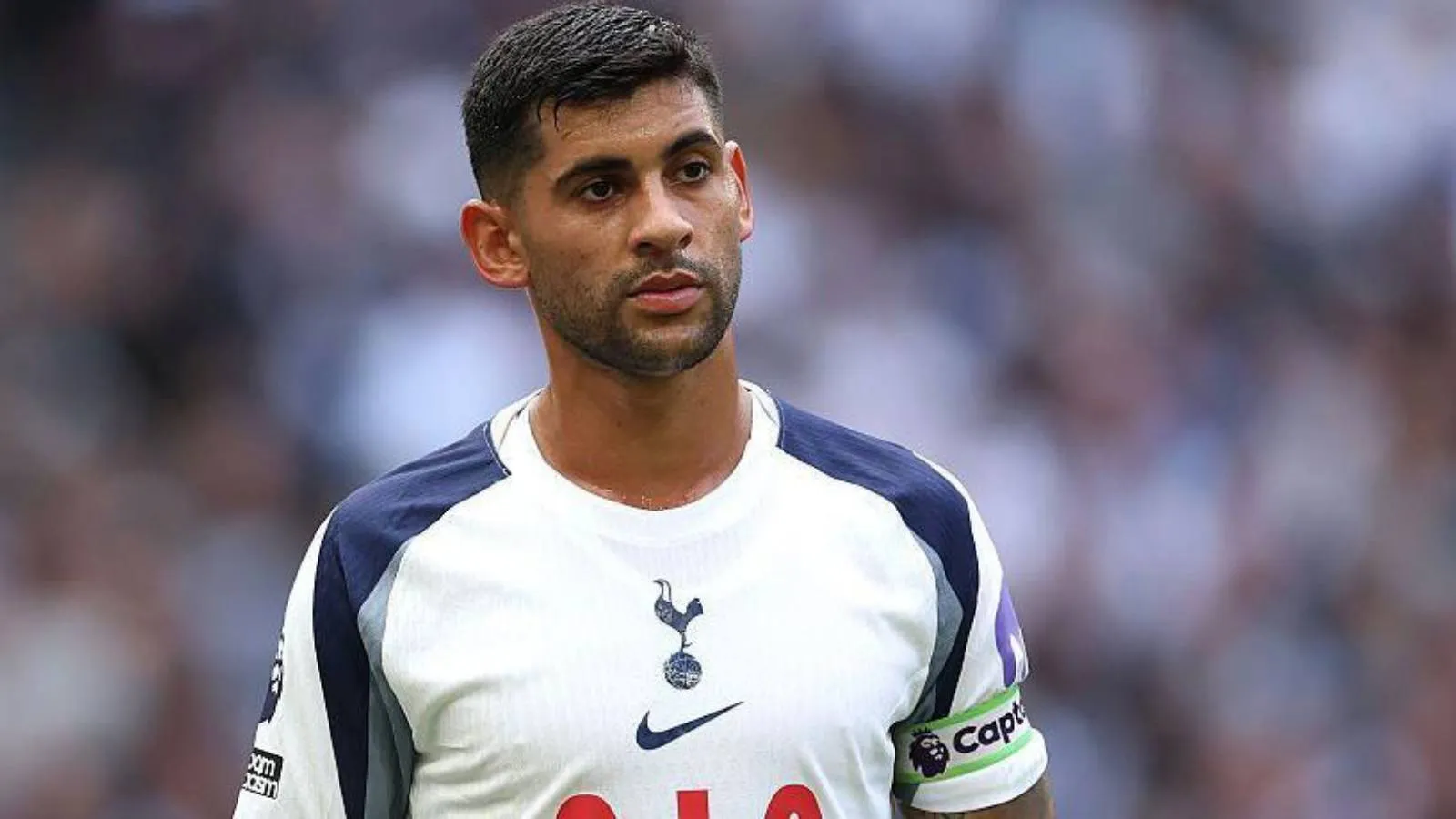Kritik dönemeçteki Tottenham'a bir kötü haber daha: O oyuncu sezonu kapattı