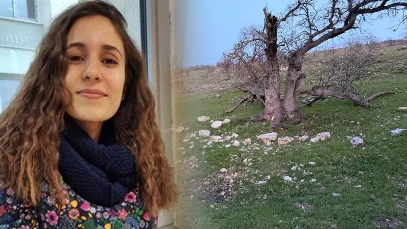 Gülistan Doku soruşturması: Kaç kişi tutuklandı, arama çalışmalarında son durum nasıl?