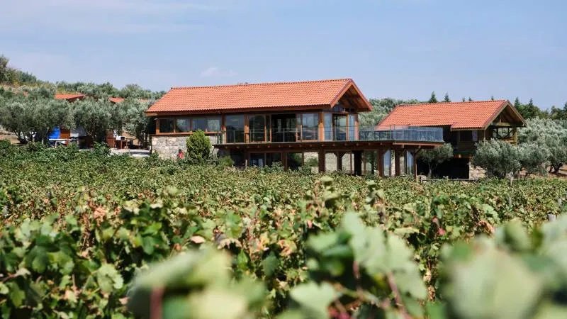 Tarım arazilerinde yeni dönem: İzinsiz yapılan bungalov, hobi bahçesi ve bağ evleri yıkılacak