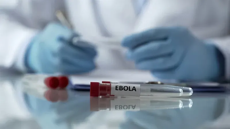 Bir Avrupa ülkesi daha Ebola'ya karşı önlemleri yoğunlaştırıyor