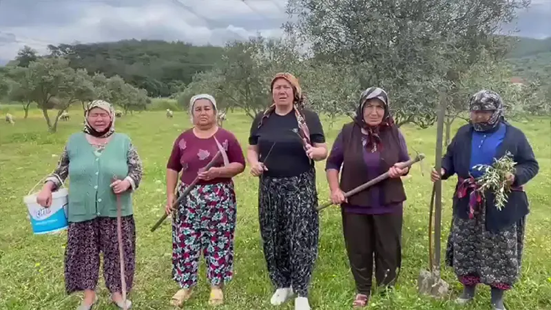 Akbelen’de direniş sonuç verdi: Danıştay, acele kamulaştırma kararının yürütmesini durdurdu
