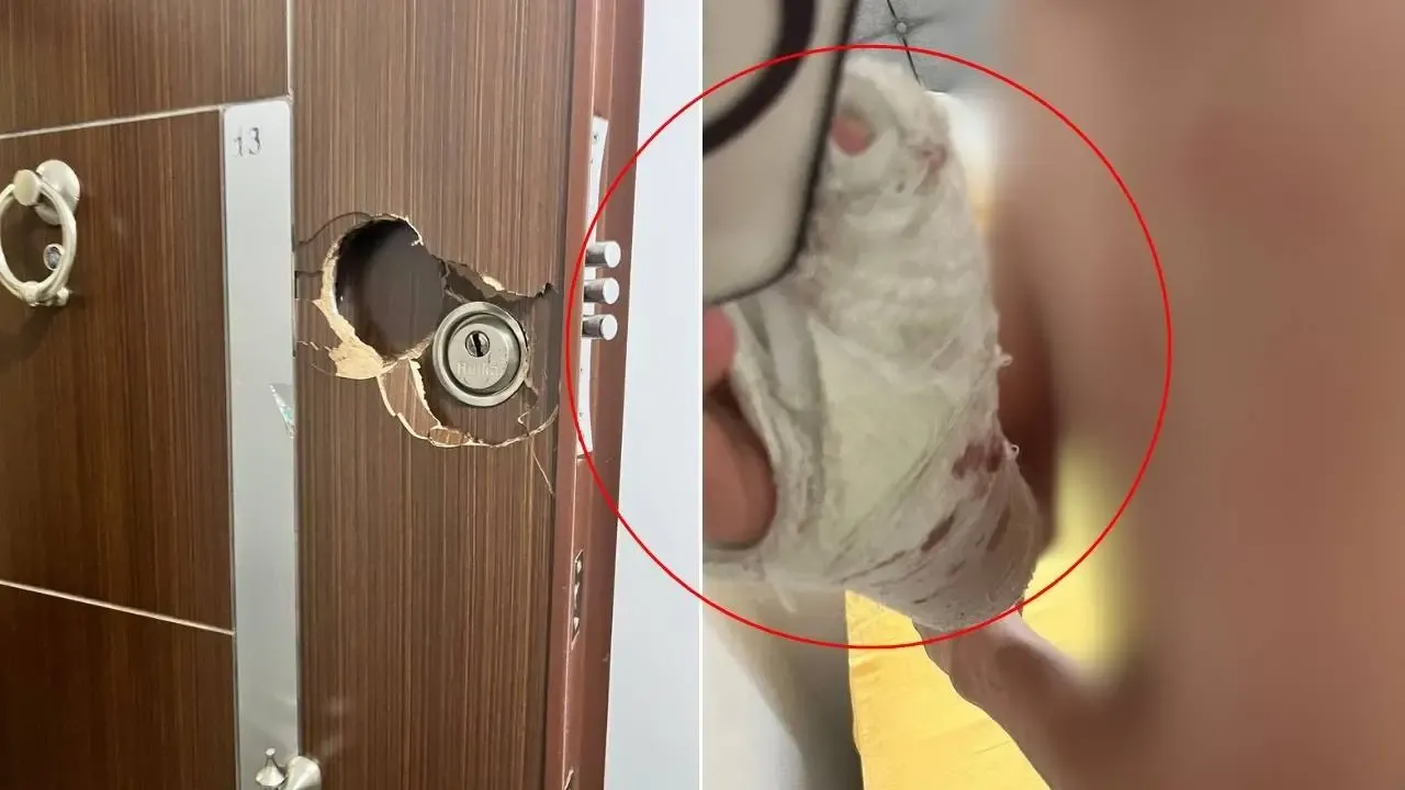 Bingöl Barosu 'yanlış adrese' yapılan baskına dair açıklama yaptı: Aile suç duyurusunda bulundu