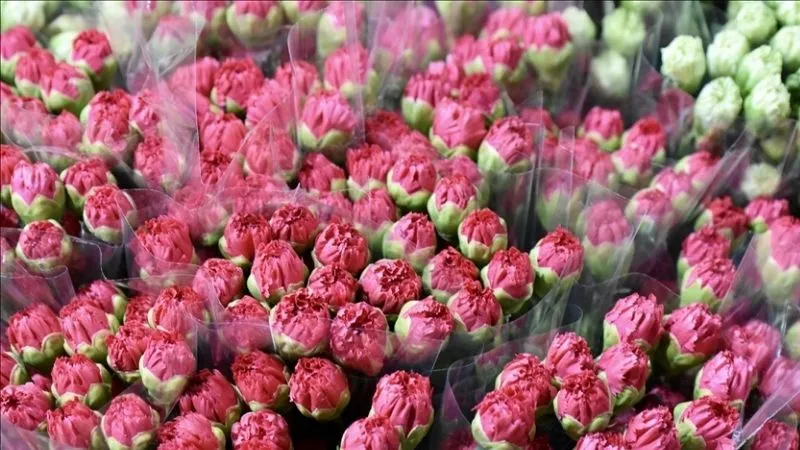 Anneler Günü öncesi çiçek fiyatları 10 kat arttı!